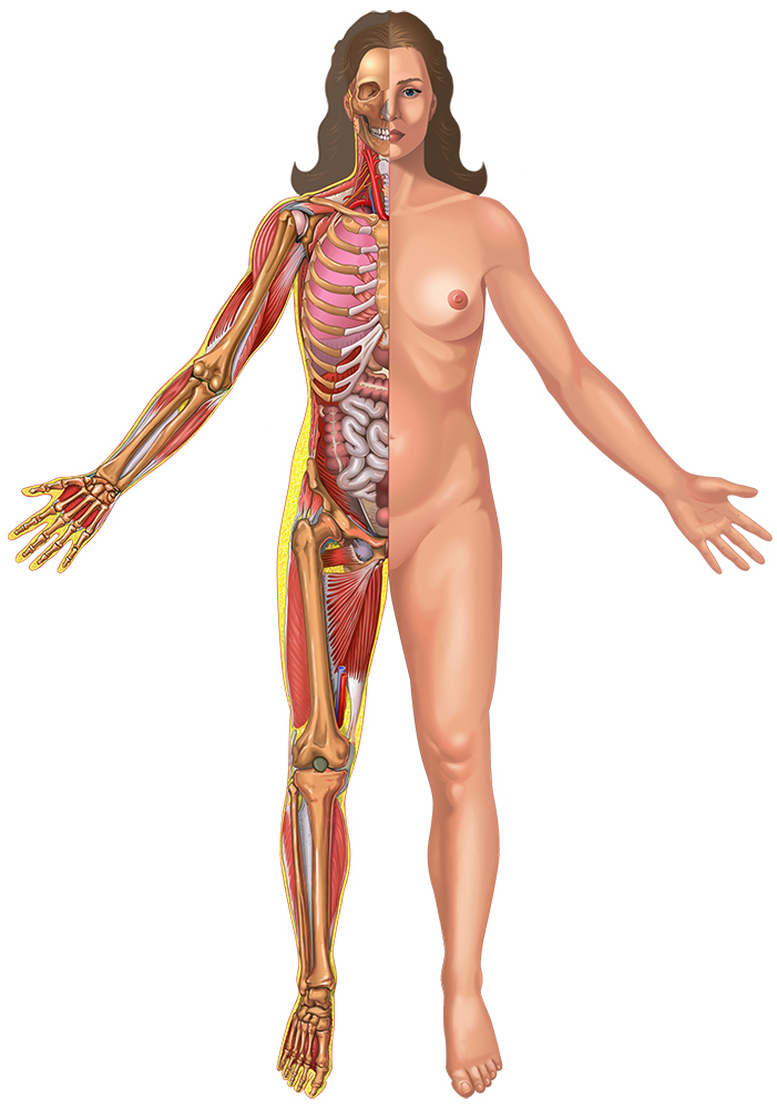 %d1%80%d0%b8%d1%81%d1%83%d0%bd%d0%be%d0%ba %d1%82%d0%b5%d0%bb%d0%b0 %d1%81%d0%bc2