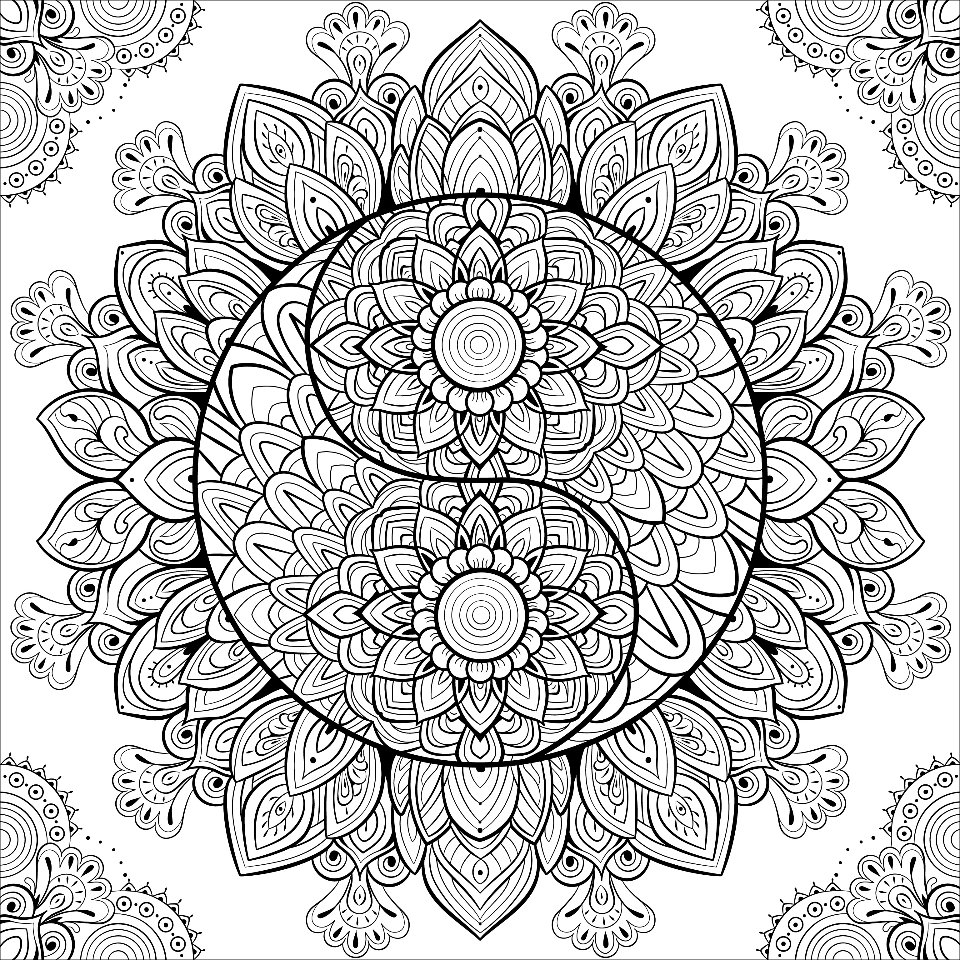 %d0%9c%d0%be%d0%bd%d1%82%d0%b0%d0%b6%d0%bd%d0%b0%d1%8f %d0%be%d0%b1%d0%bb%d0%b0%d1%81%d1%82%d1%8c 1 3072x 80