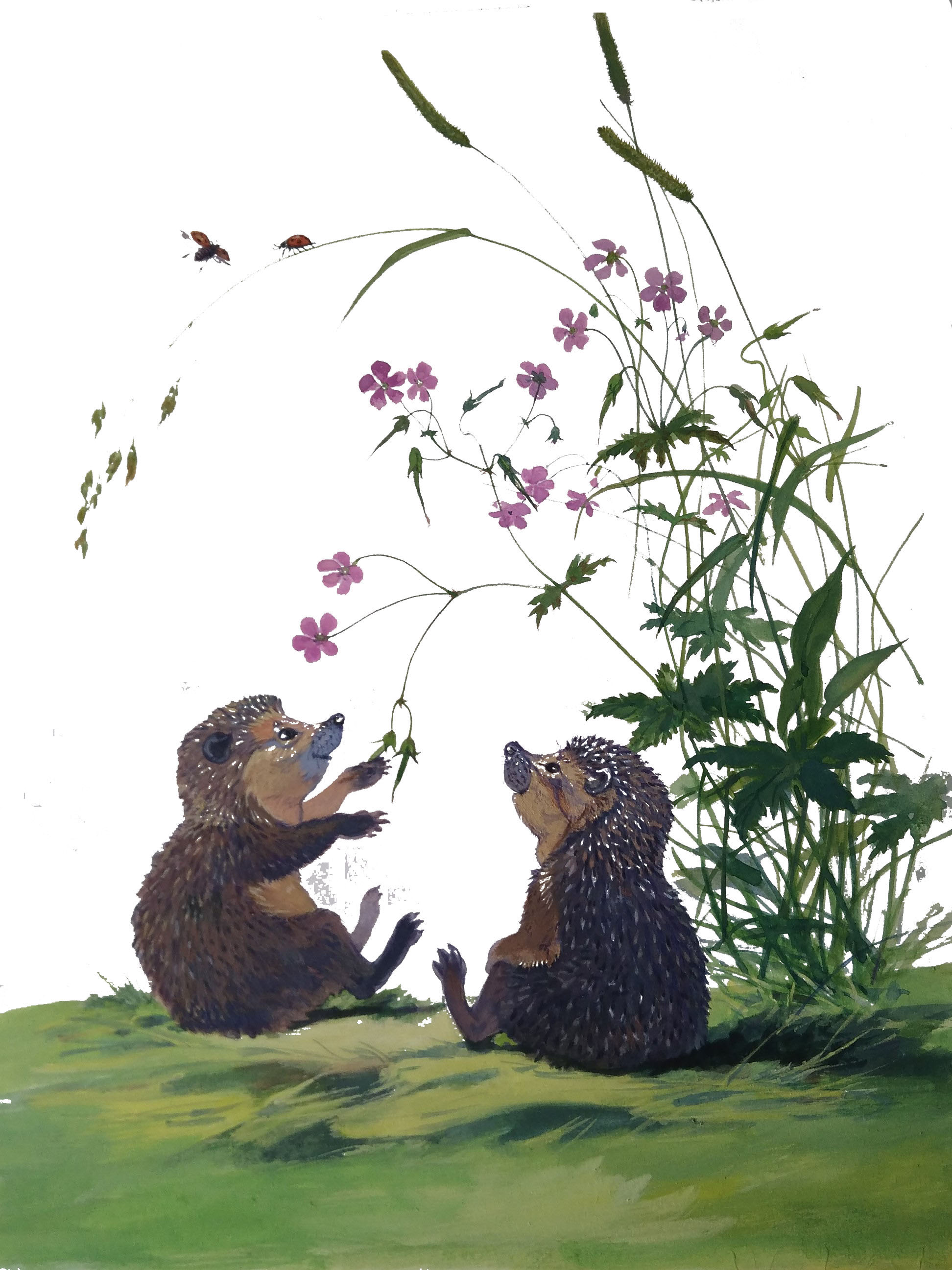 %d0%81   %d0%ba%d0%be%d0%bf%d0%b8%d1%8f  22 