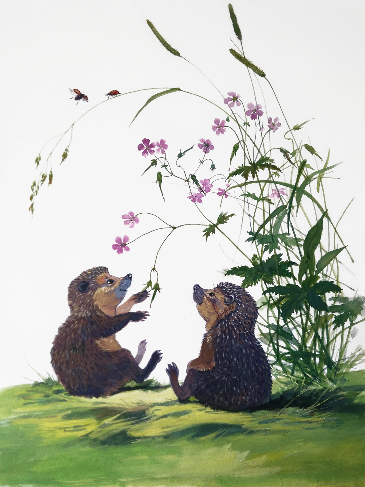 %d0%b2%d0%be%d1%82 %d0%ba%d0%b0%d0%ba%d1%82%d0%be %d1%82%d0%b0%d0%ba