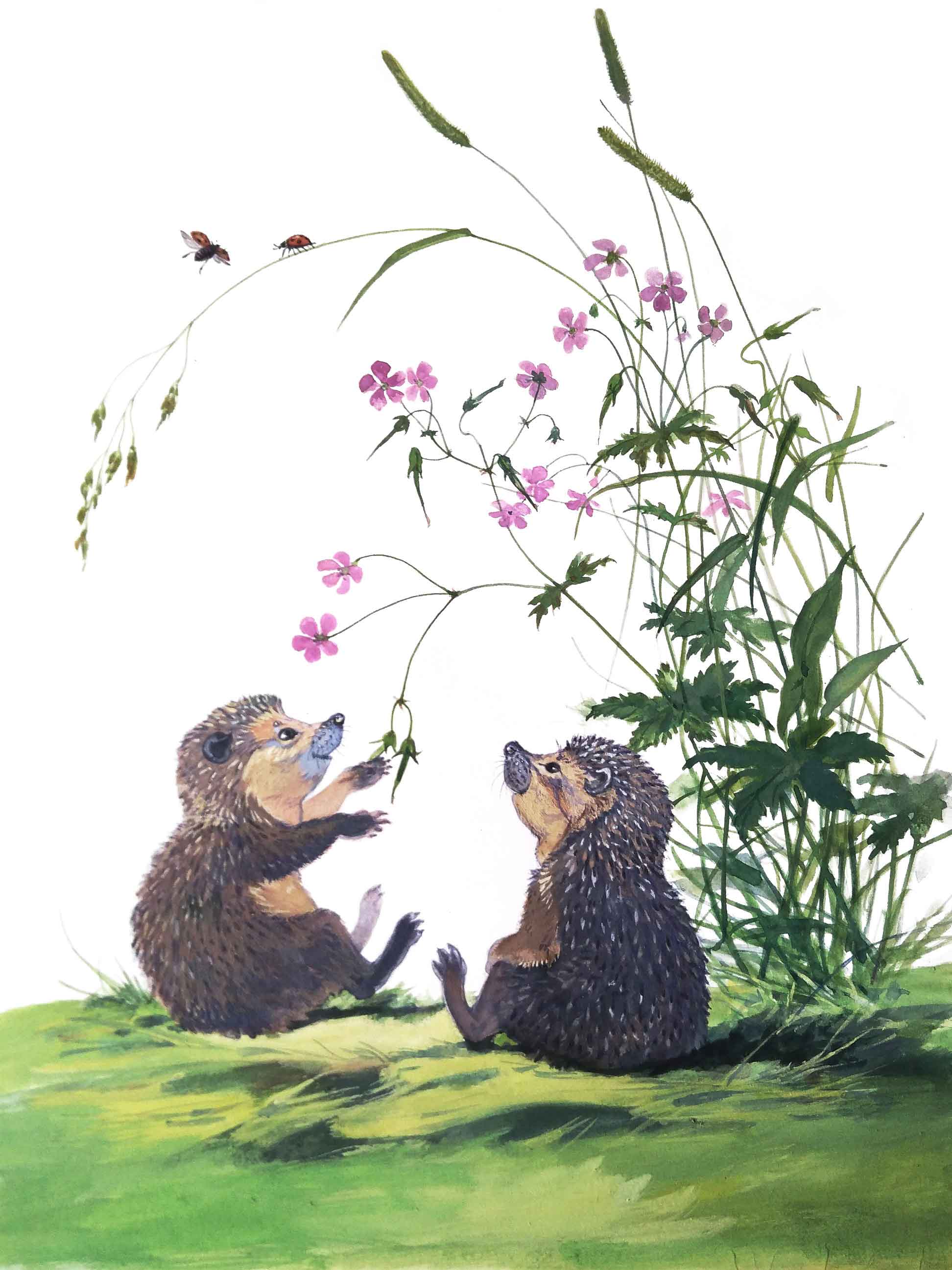 %d1%91%d0%b6%d0%b8%d0%ba%d0%b8