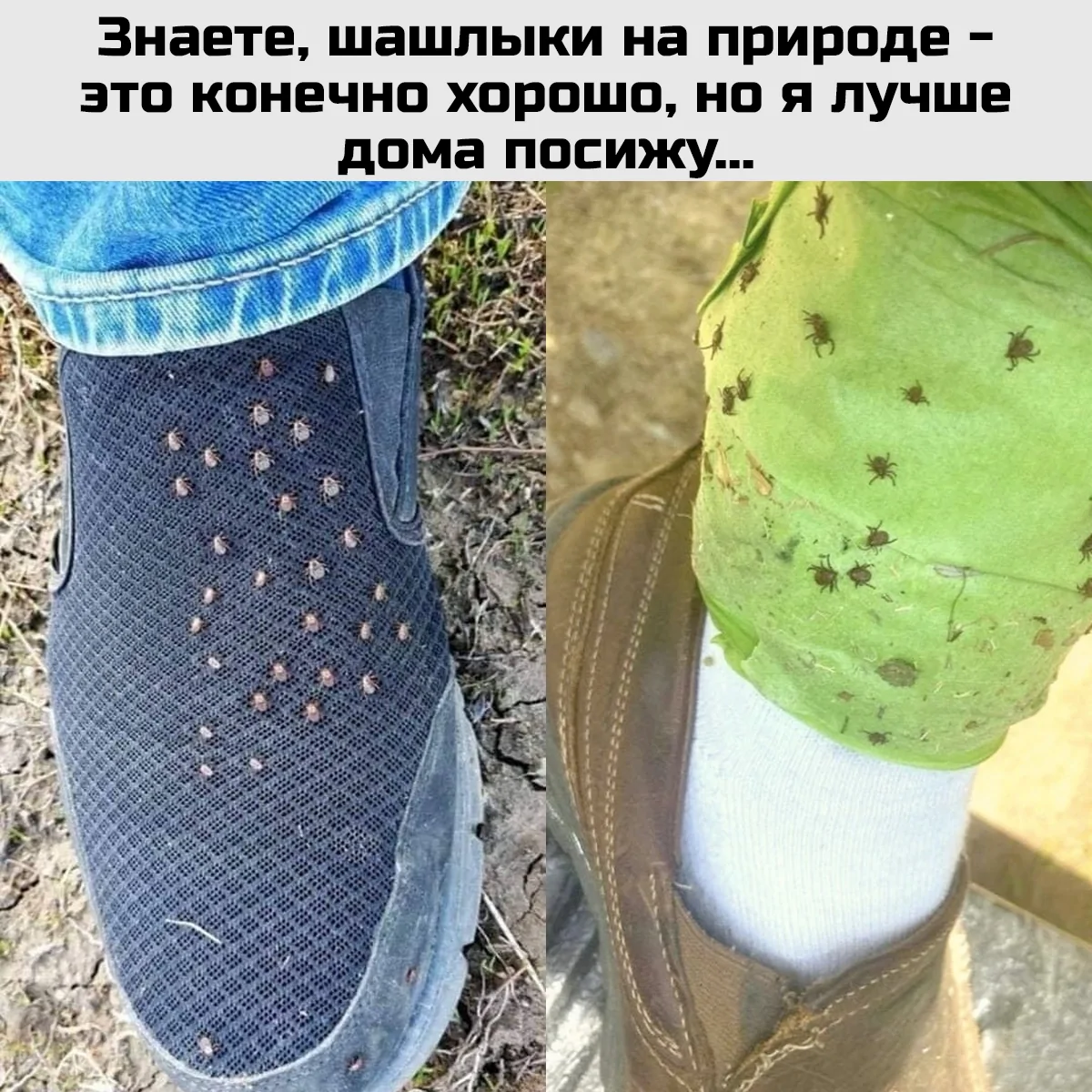 9fb73771897bde5a0c0b868ca70c26a4.png