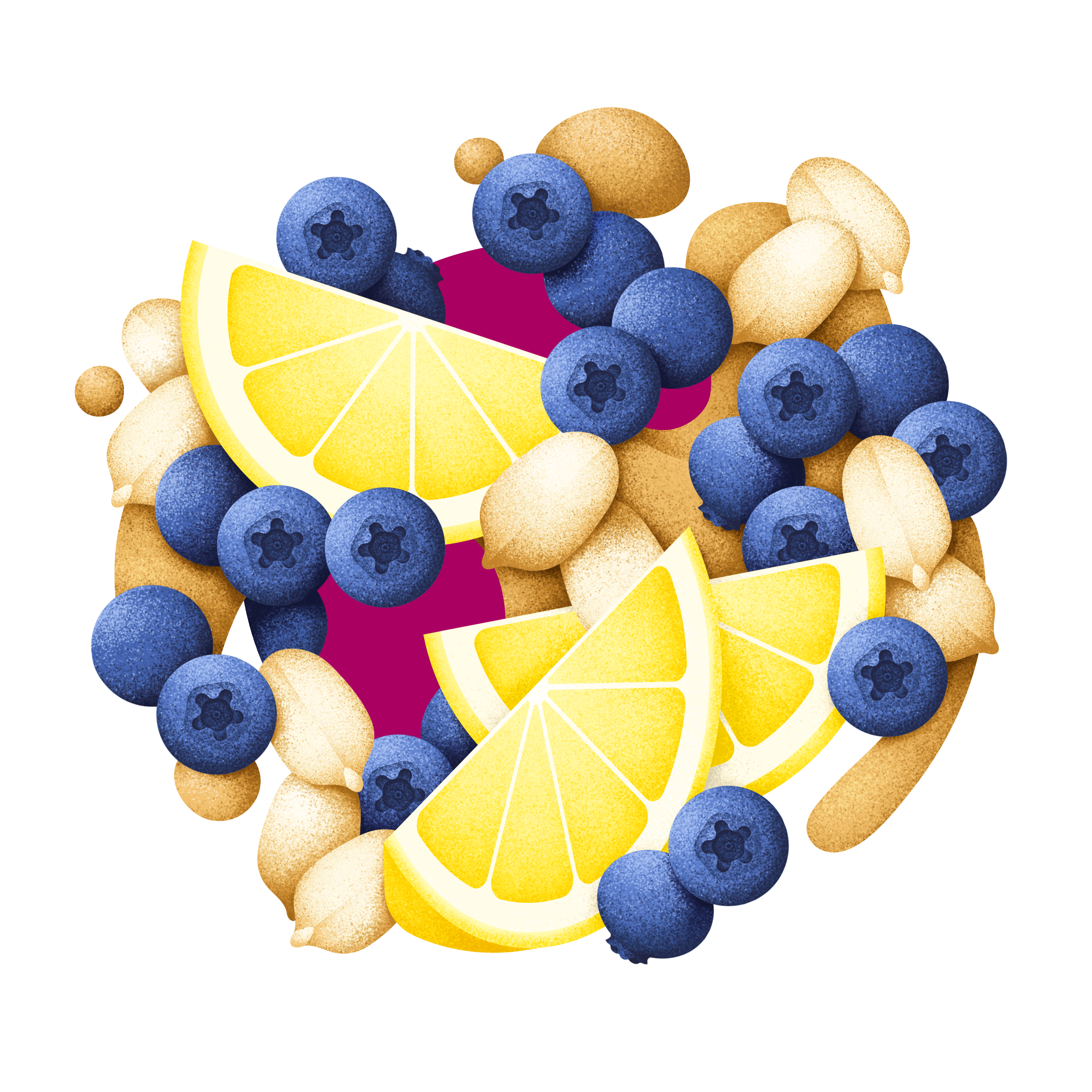07 blueberry   lemon  preview 