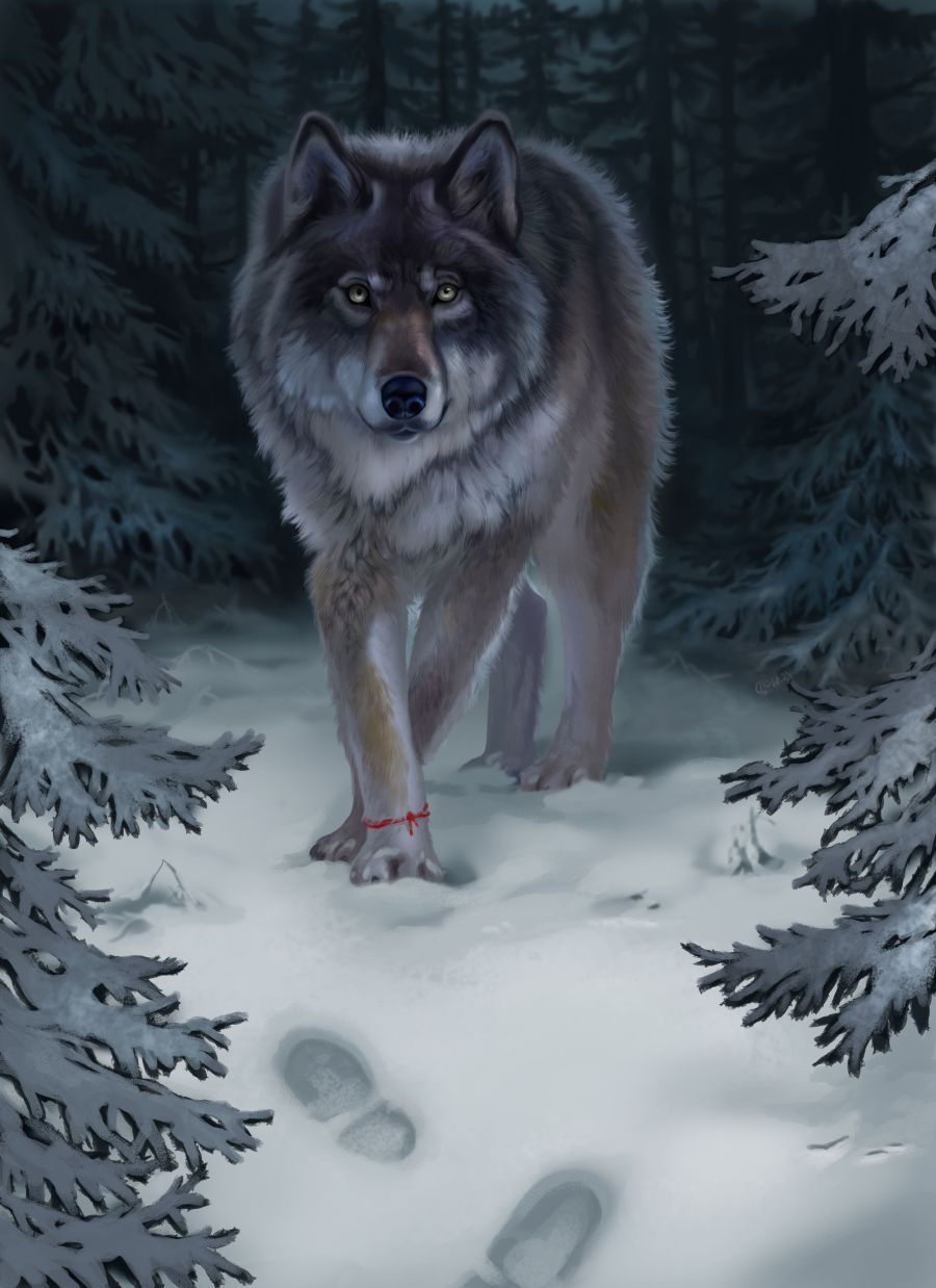 Volf %d1%84%d0%bb