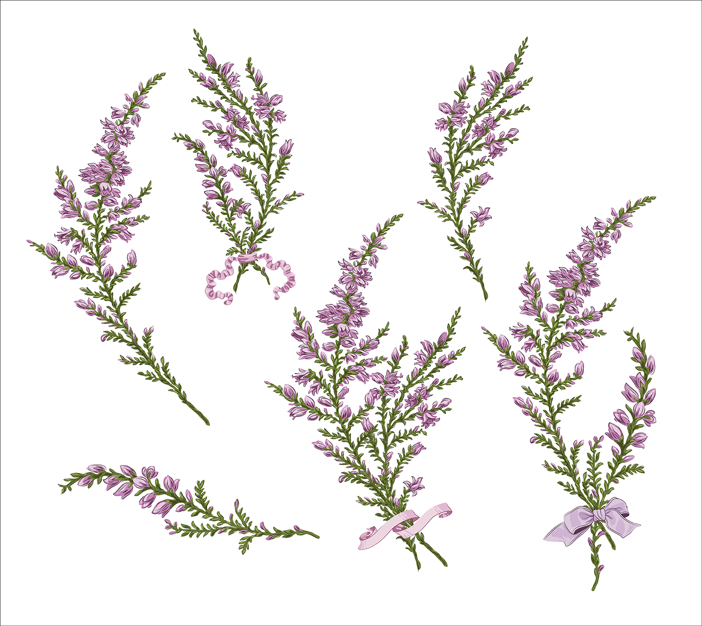 Branch of heather