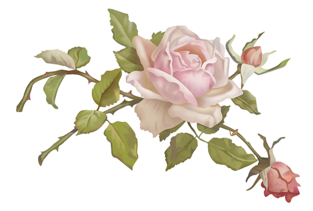Flower  18 