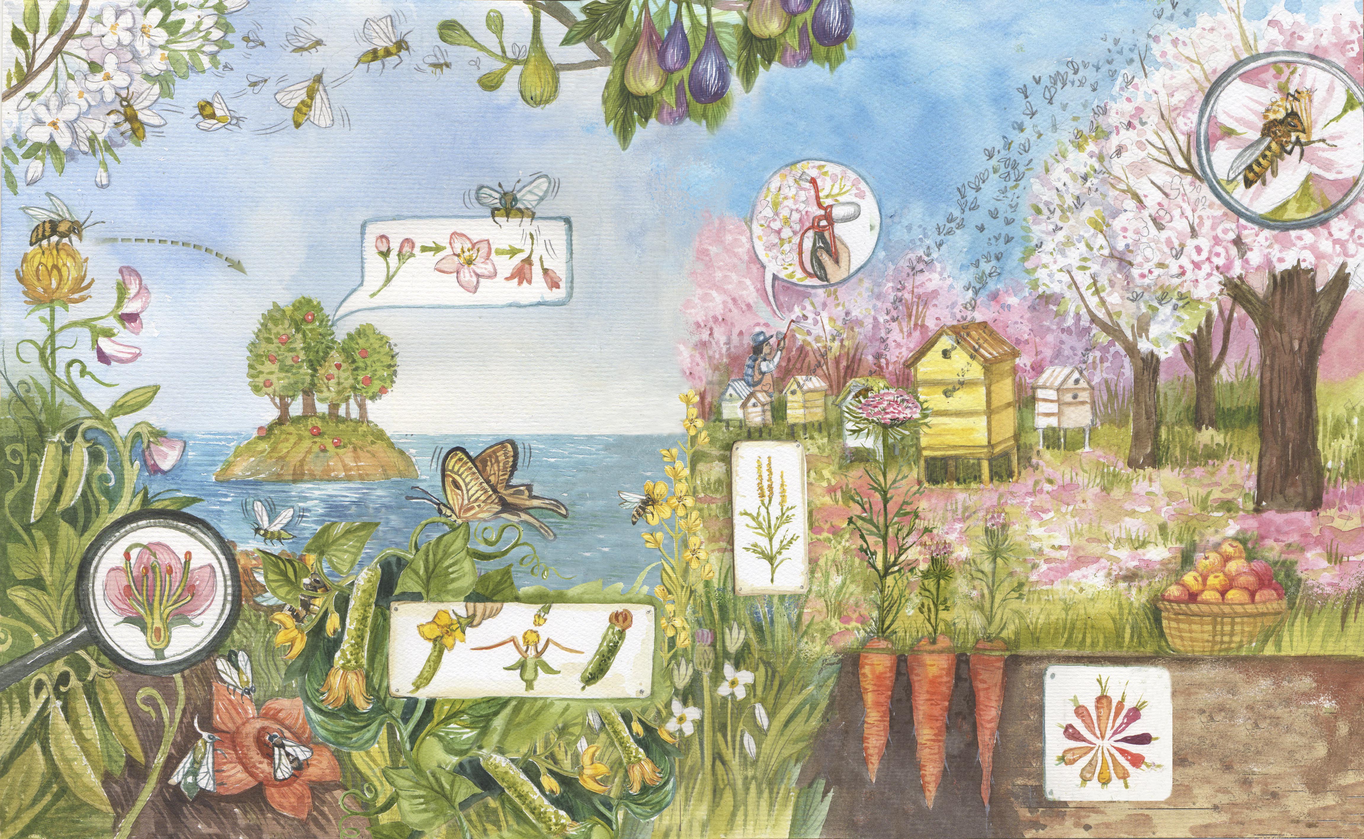 Insects