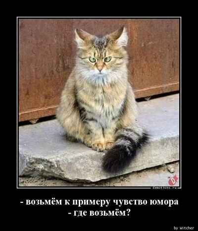 400px %d0%93%d0%b4%d0%b5