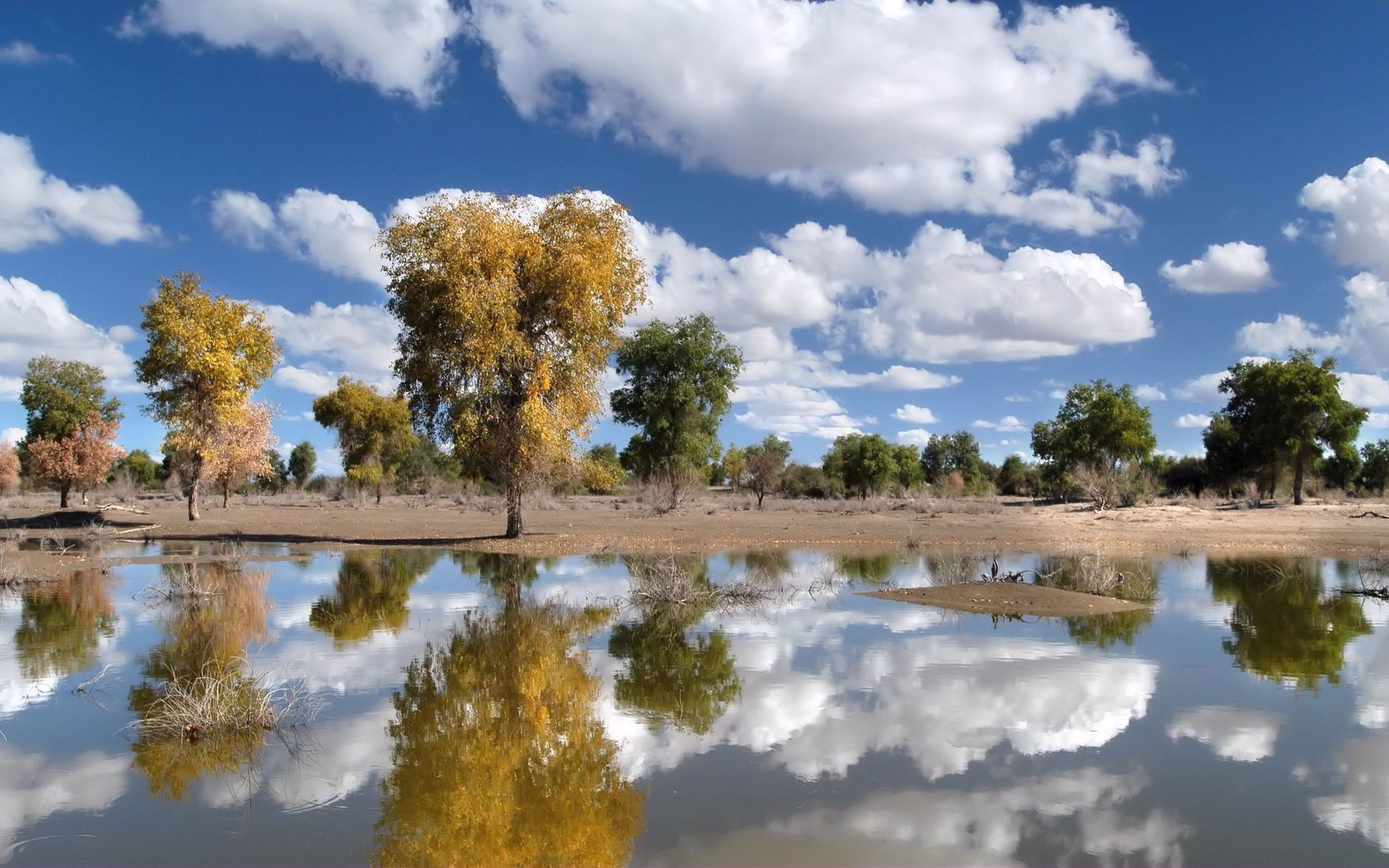 Amazing reflection in the la05