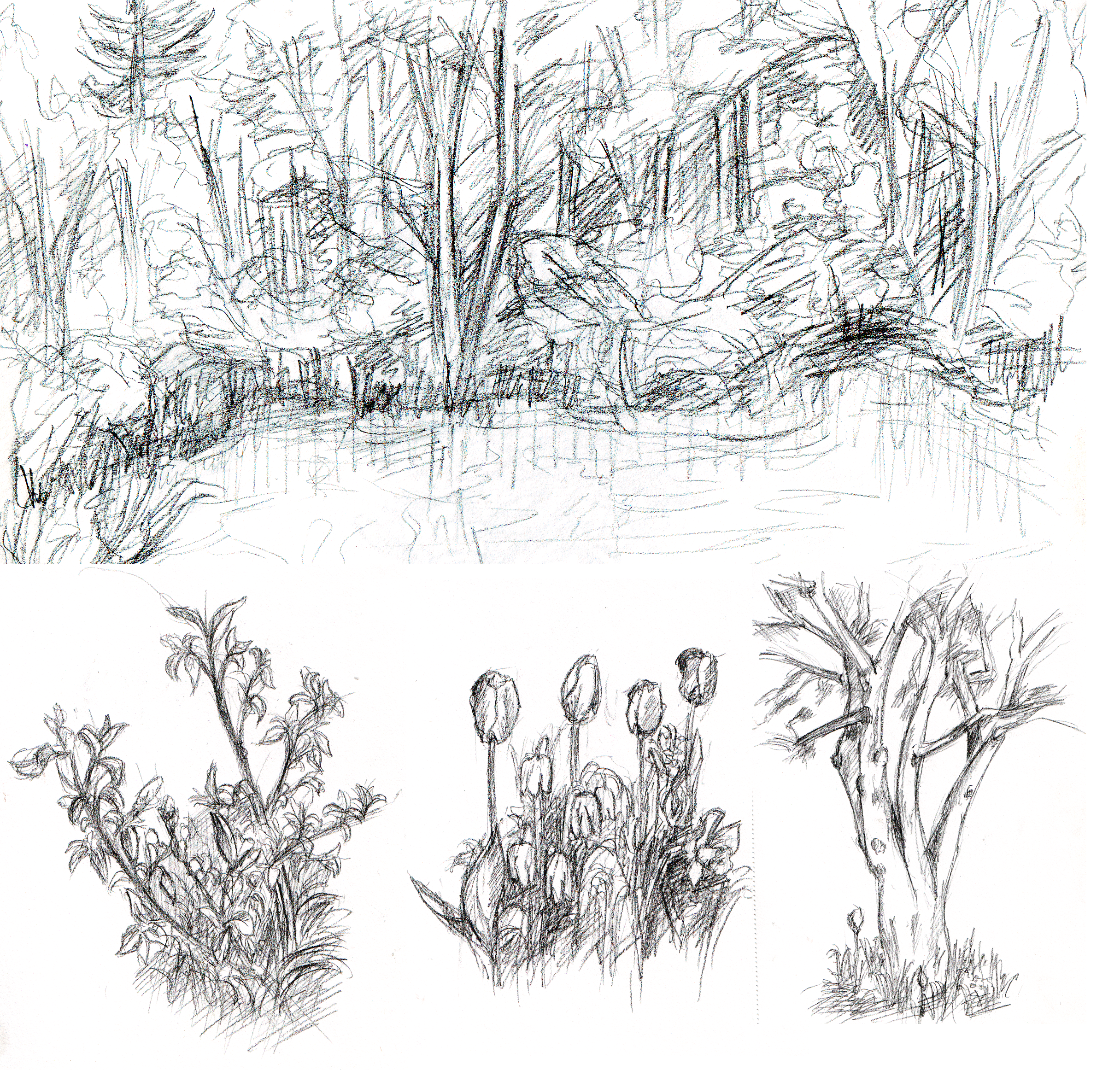 %d0%9d%d0%b0%d0%b1%d1%80%d0%be%d1%81%d0%ba%d0%b8