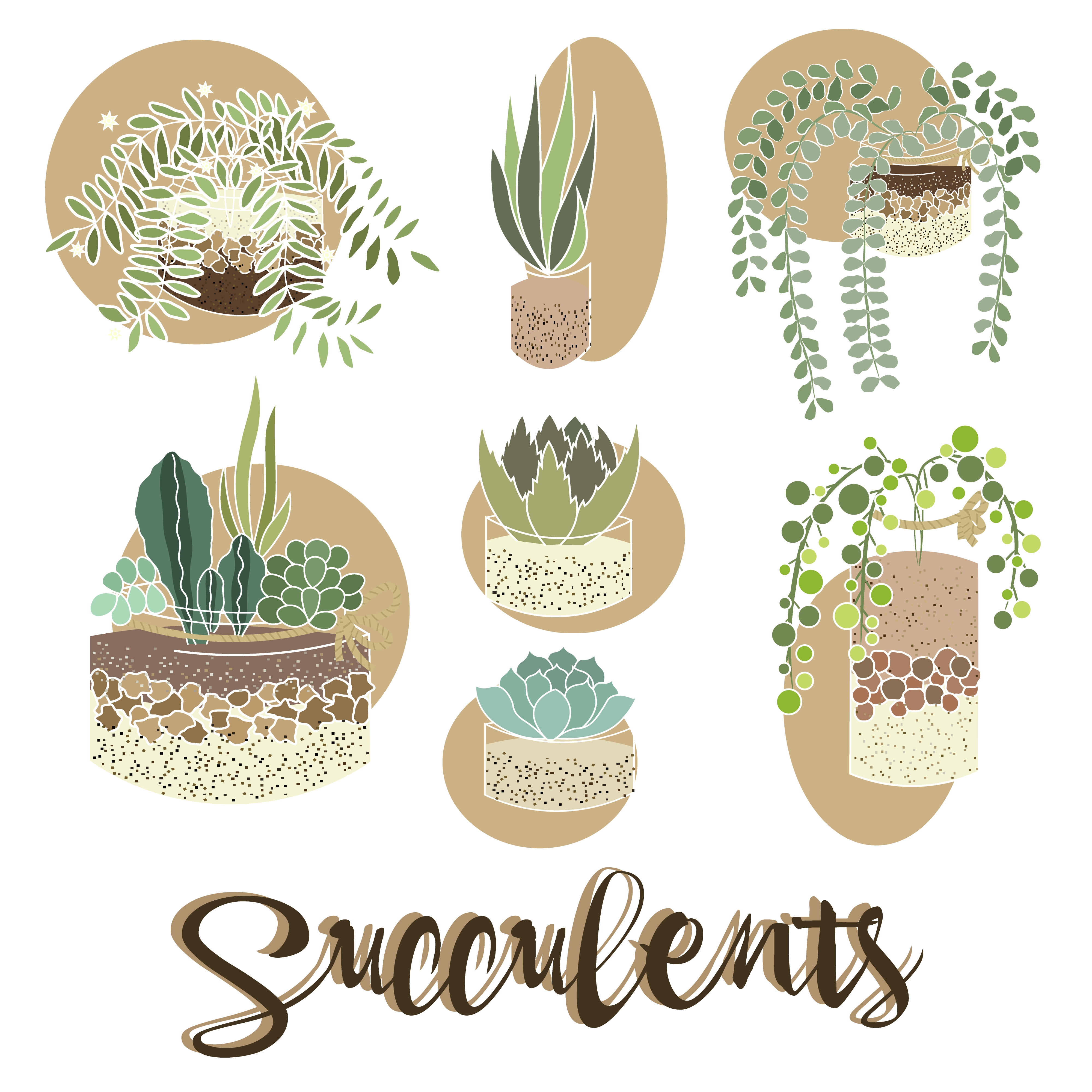 Plants succulents set lettering