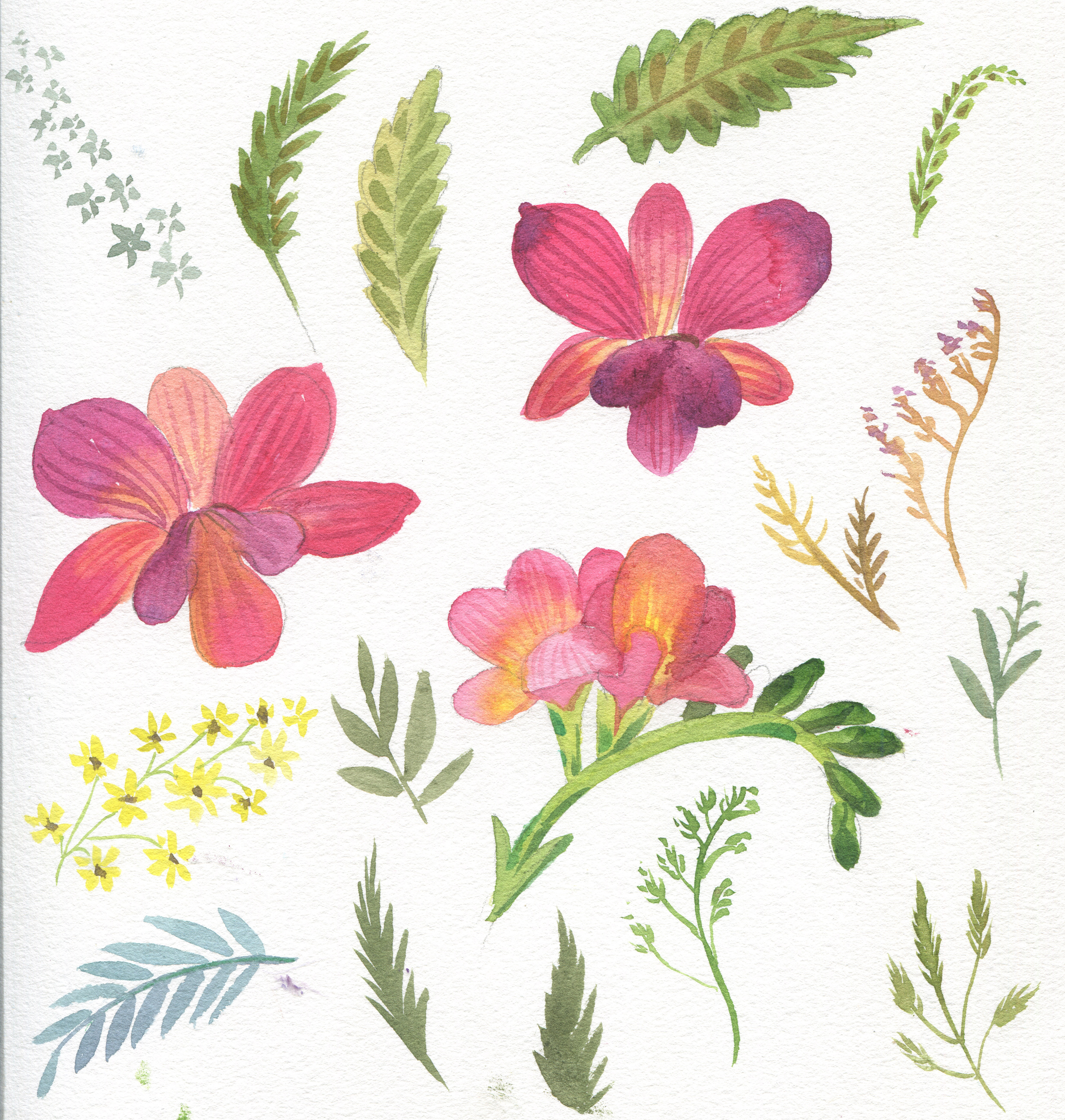 %d0%9a%d0%be%d0%bf%d0%b8%d1%8f 14 3