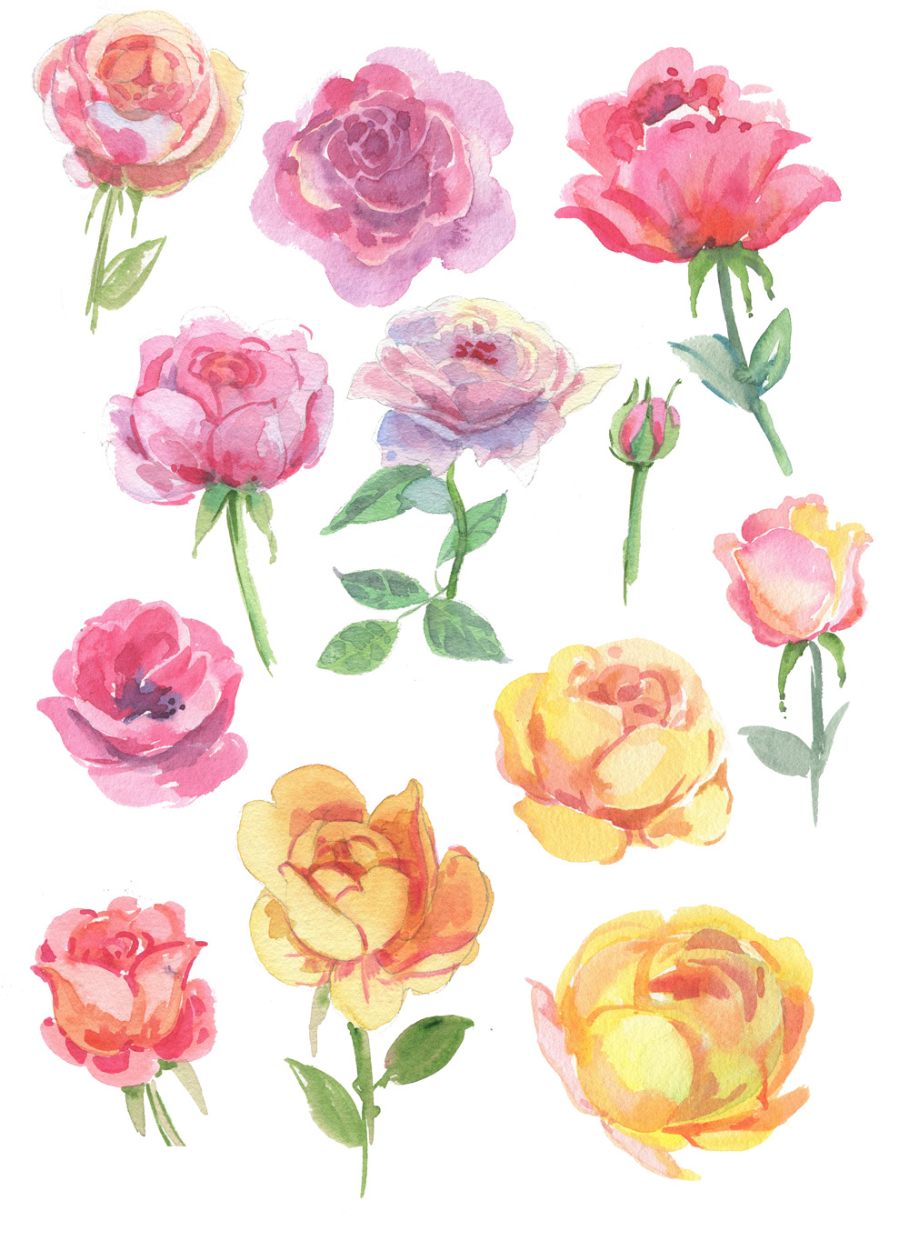 %d0%9a%d0%be%d0%bf%d0%b8%d1%8f roses