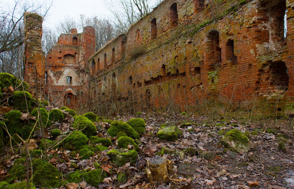 040cbac3 dd4c 406b ad4c 946804b0bd19