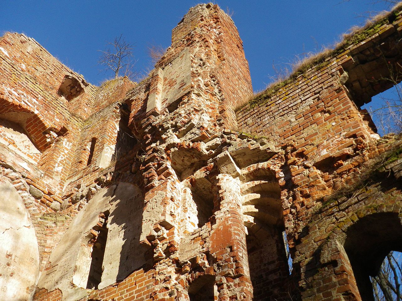 %d0%91%d0%b0%d0%bb%d1%8c%d0%b3%d0%b0 1