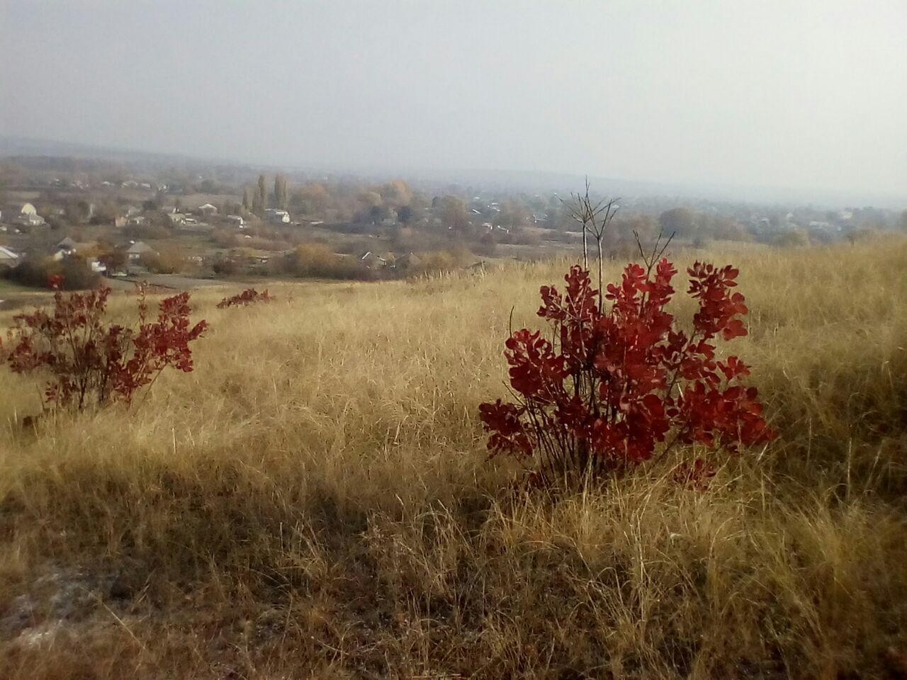 Photo 2018 10 21 18 31 02