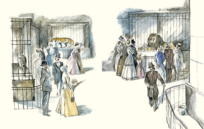 0 cc3c3 ac3f9429 orig