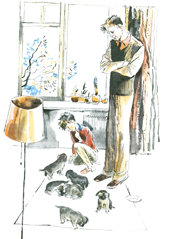 0 b8fe3 5e19b50a orig