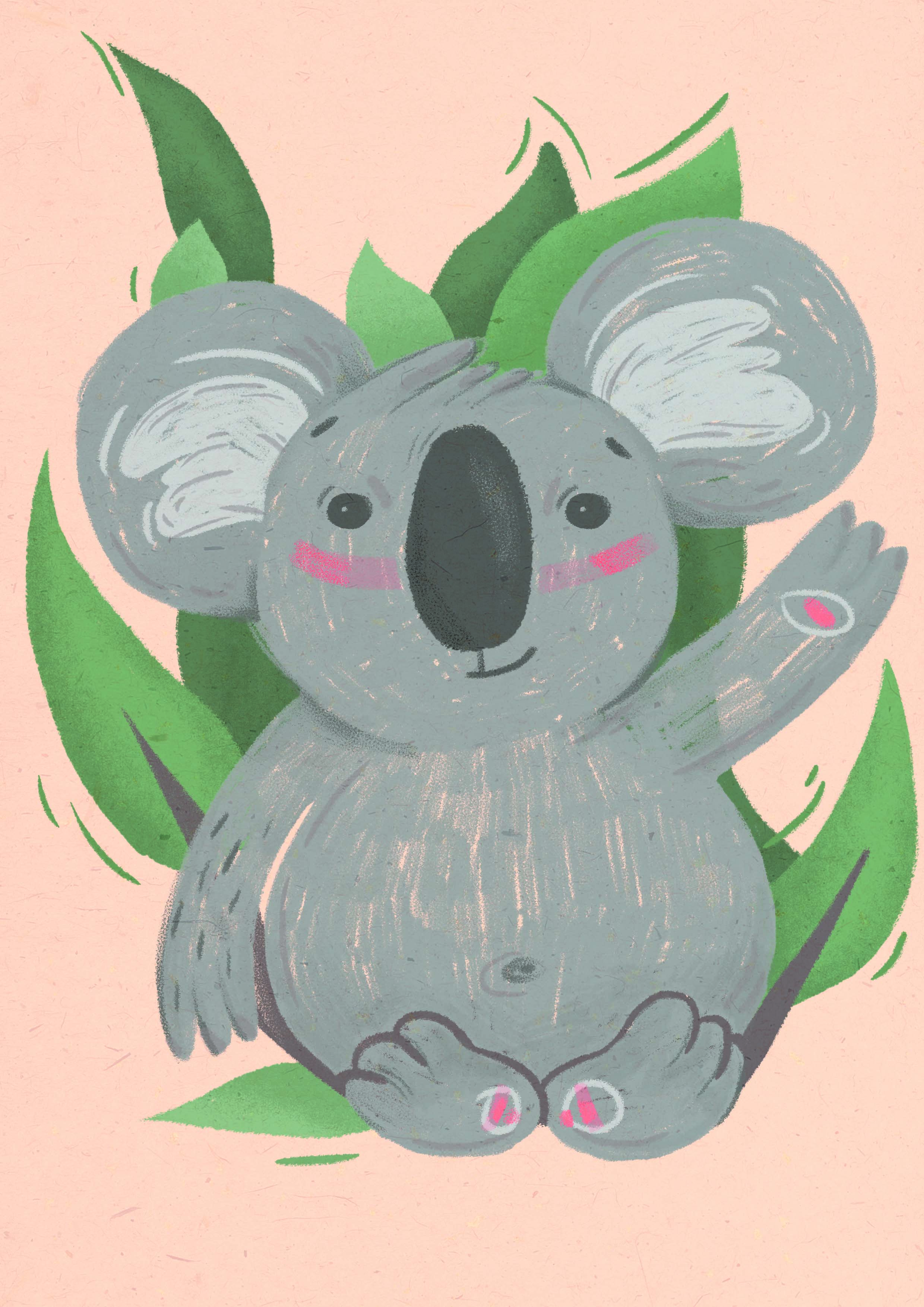 Koala