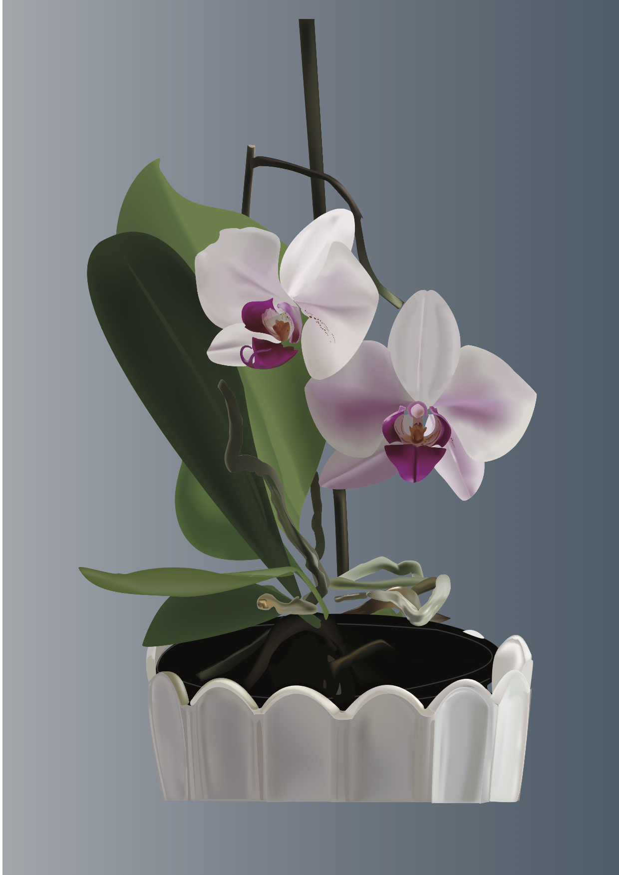 Orhideya