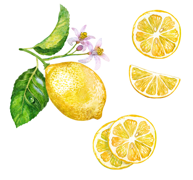 Blooming lemon
