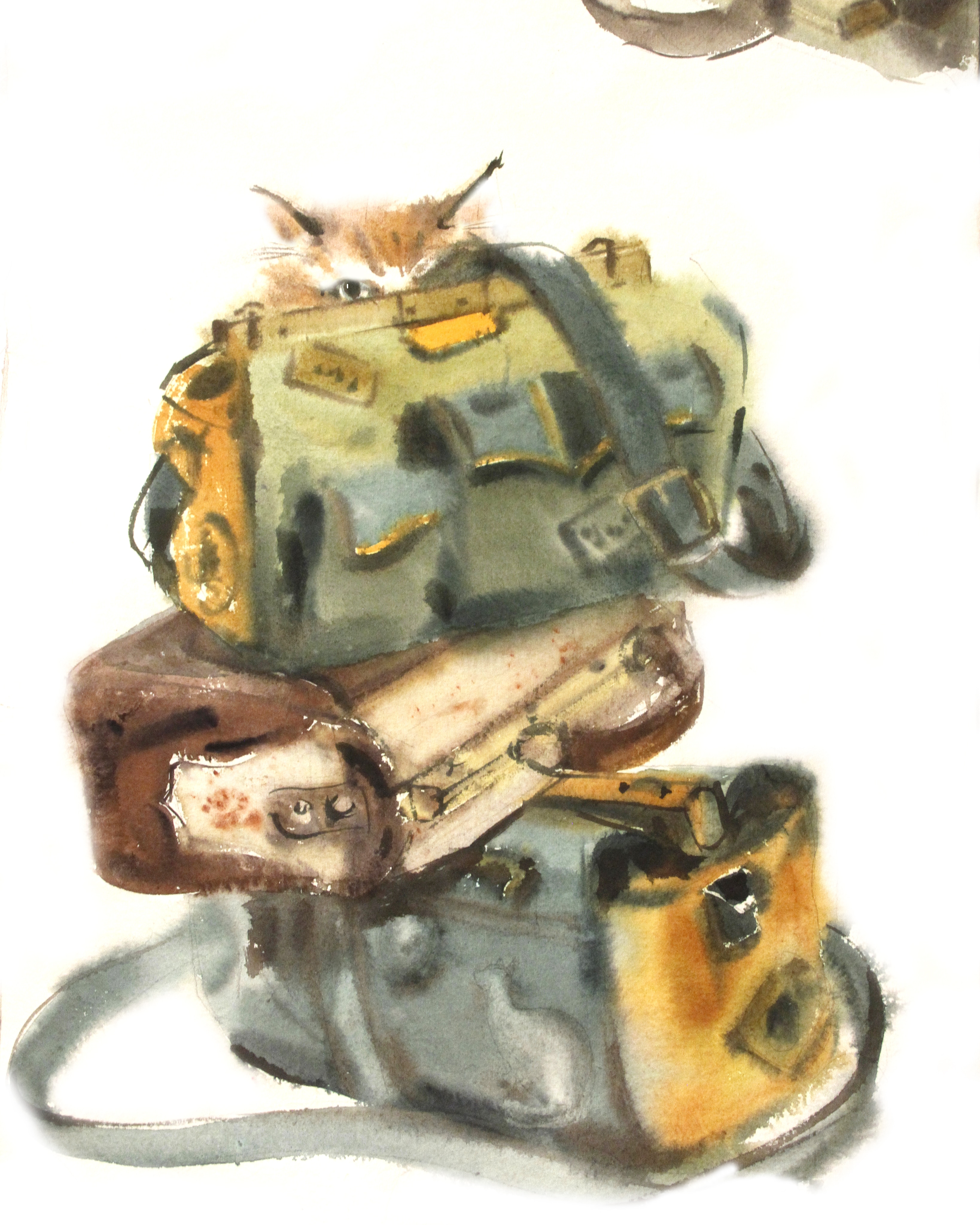 Img 20190120 001003 579