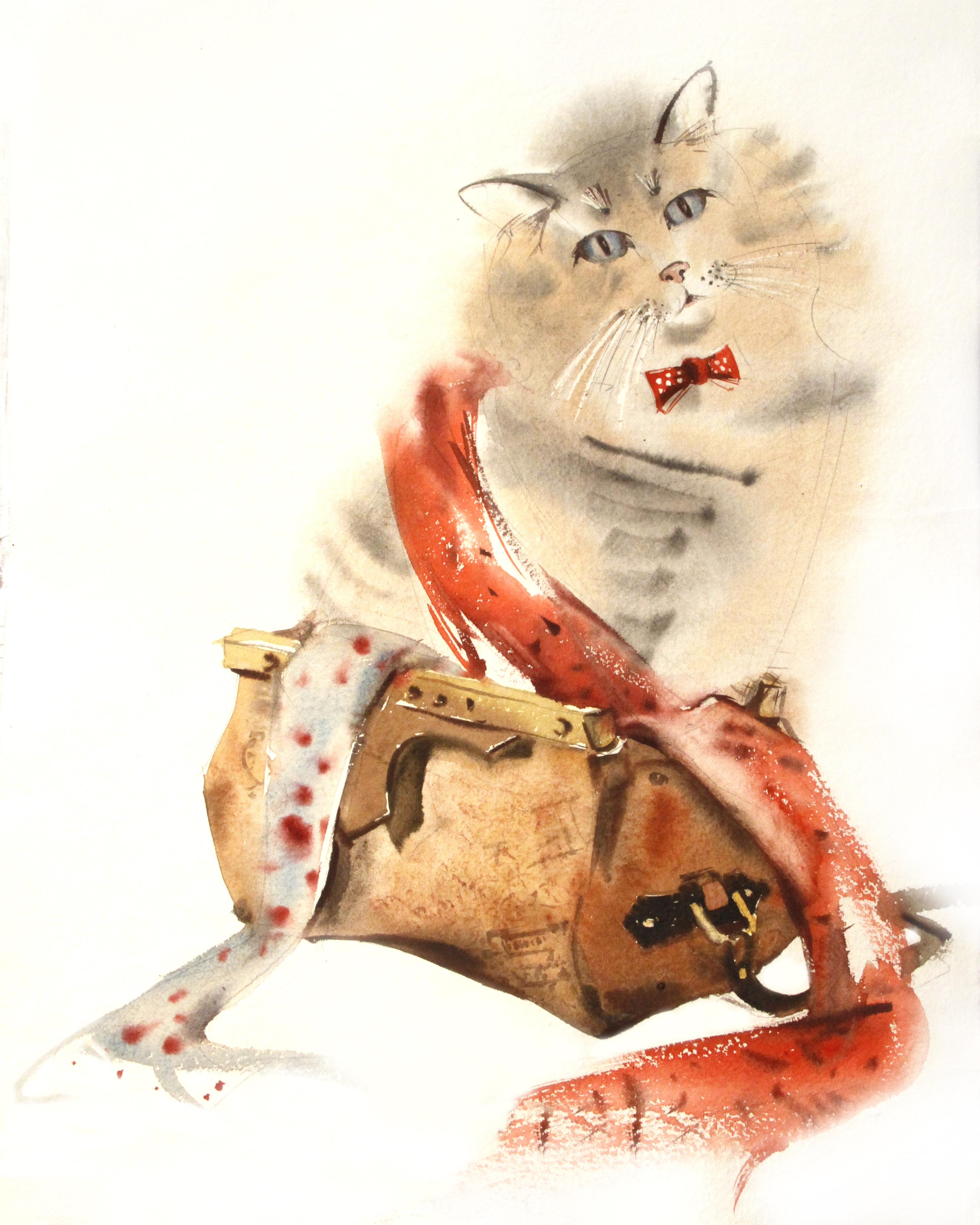 Img 20190124 152259 446