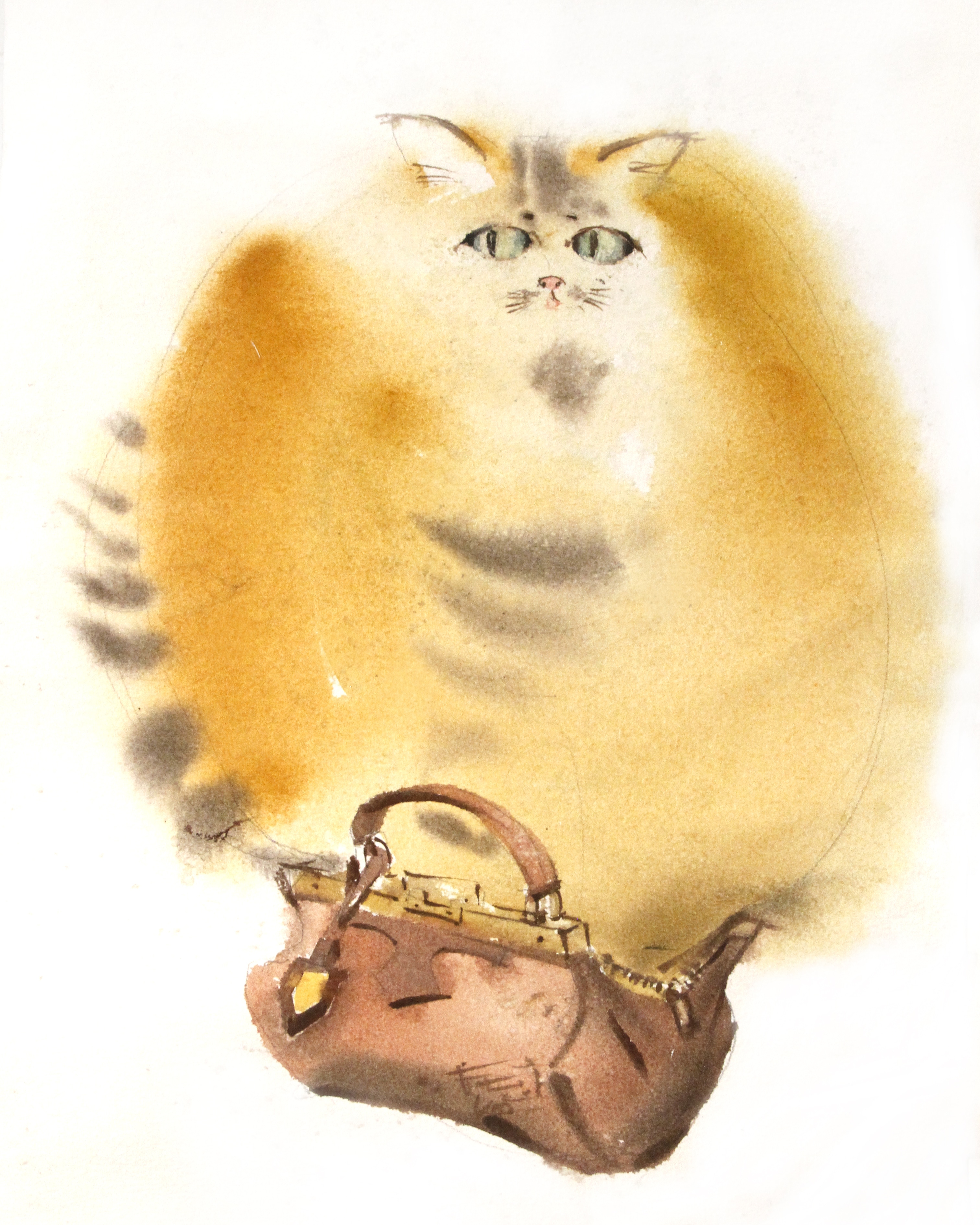 Img 20190121 192206 741