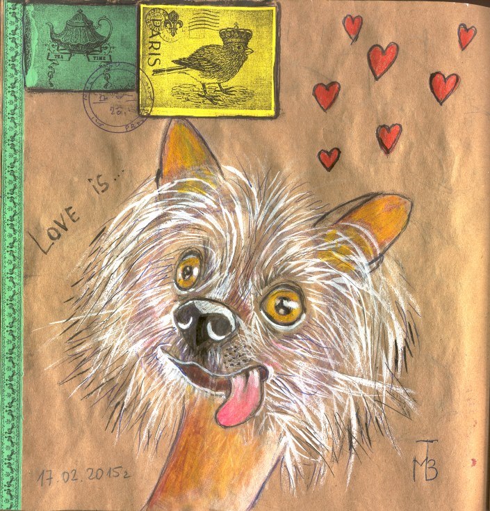 10953274 815904061815579 4679424874023573318 n