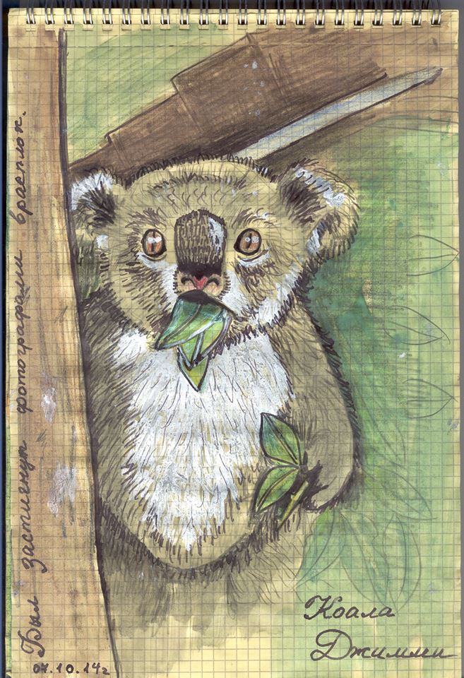 10438599 772512782821374 8057572204681652583 n