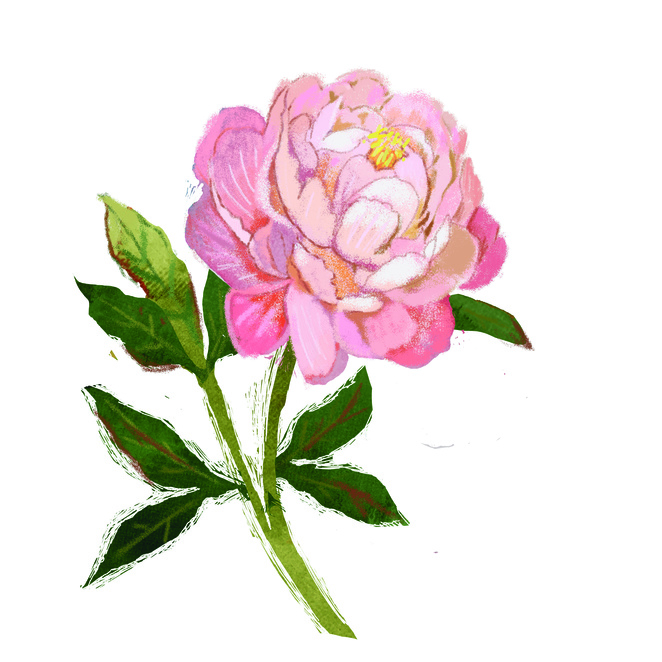 Main %d0%bf%d0%b8%d0%be%d0%bd%d1%87%d0%b8%d0%ba