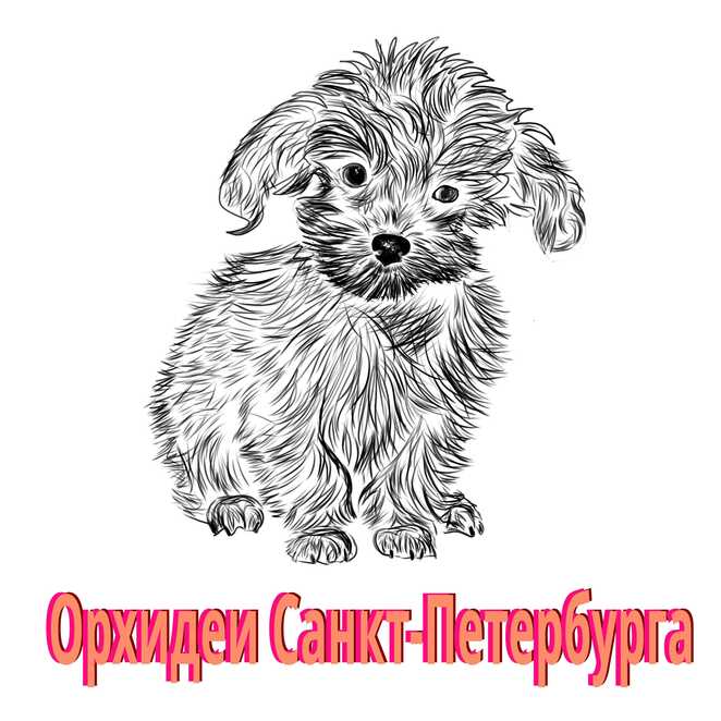 Main %d0%bf%d0%b8%d1%82%d0%b5%d1%80 %d0%9e%d1%80%d1%85%d0%b8%d0%b4%d0%b5%d1%8f