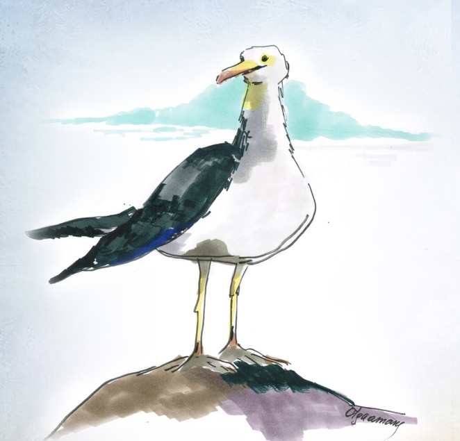 Main img 20250110 145702