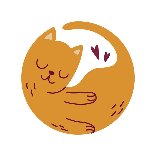 Main %d0%a0%d1%8b%d0%b6%d0%b8%d0%b9 %d0%ba%d0%be%d1%82 01