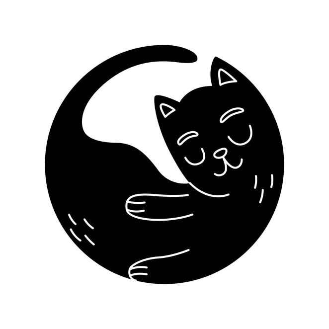 Main %d0%ba%d0%be%d1%82 %d1%87%d0%b5%d1%80%d0%bd%d1%8b%d0%b9 01