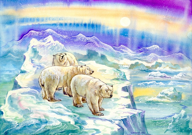 Main %d0%91%d0%b5%d0%bb%d1%8b%d0%b9 %d0%bc%d0%b5%d0%b4%d0%b2%d0%b5%d0%b4%d1%8c 9%d0%bc  1 