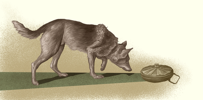 Main 60 %d0%94%d0%b6%d1%83%d0%bb%d1%8c%d0%b1%d0%b0%d1%80%d1%81 1