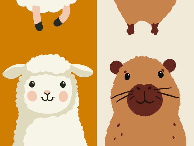 Main %d0%b4%d0%b5%d1%82%d1%81%d0%ba%d0%b8%d0%b5 %d0%bf%d0%bb%d0%b5%d0%b4%d1%8b3