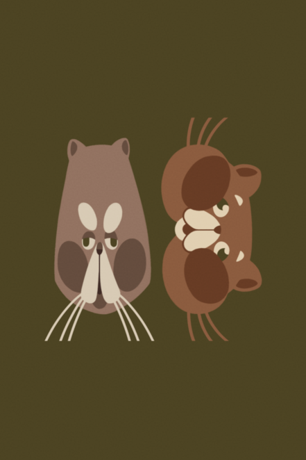 Main %d0%ba%d0%be%d1%82%d1%8b %d0%b8%d1%82%d0%be%d0%b3