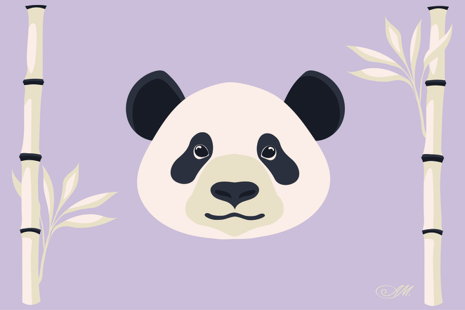 Main %d0%9f%d0%b0%d0%bd%d0%b4%d0%b0