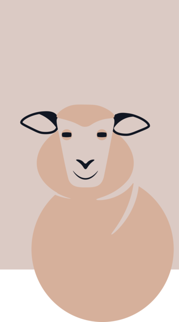 Main %d0%9e%d0%b2%d0%b5%d1%87%d0%ba%d0%b0