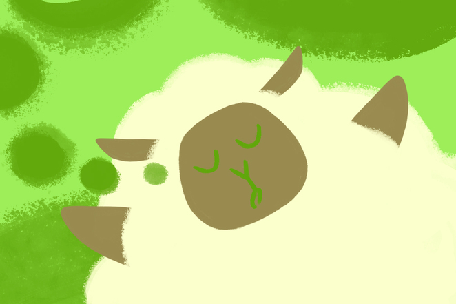 Main %d0%b1%d0%b0%d1%80%d0%b0%d1%88%d0%b5%d0%ba %d0%b2 %d0%bf%d0%be%d0%bb%d0%b5