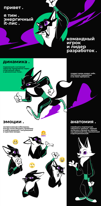 Main sportsfox concept 1