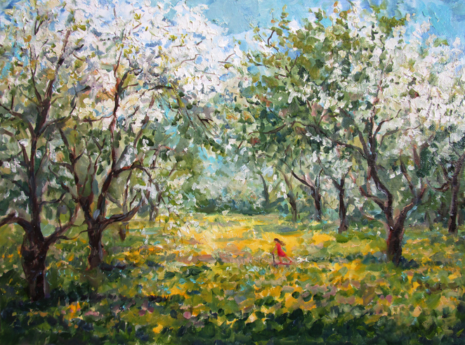 Main apple garden in the spring