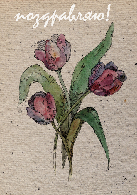 Main %d0%be%d1%82%d0%ba%d1%80%d1%82%d1%8b%d0%ba%d0%b0 %d1%86%d0%b2%d0%b5%d1%82%d1%8b %d0%b05