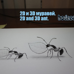 2D и 3D муравей
