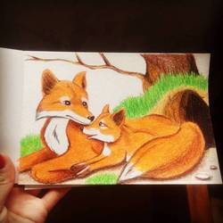 foxes