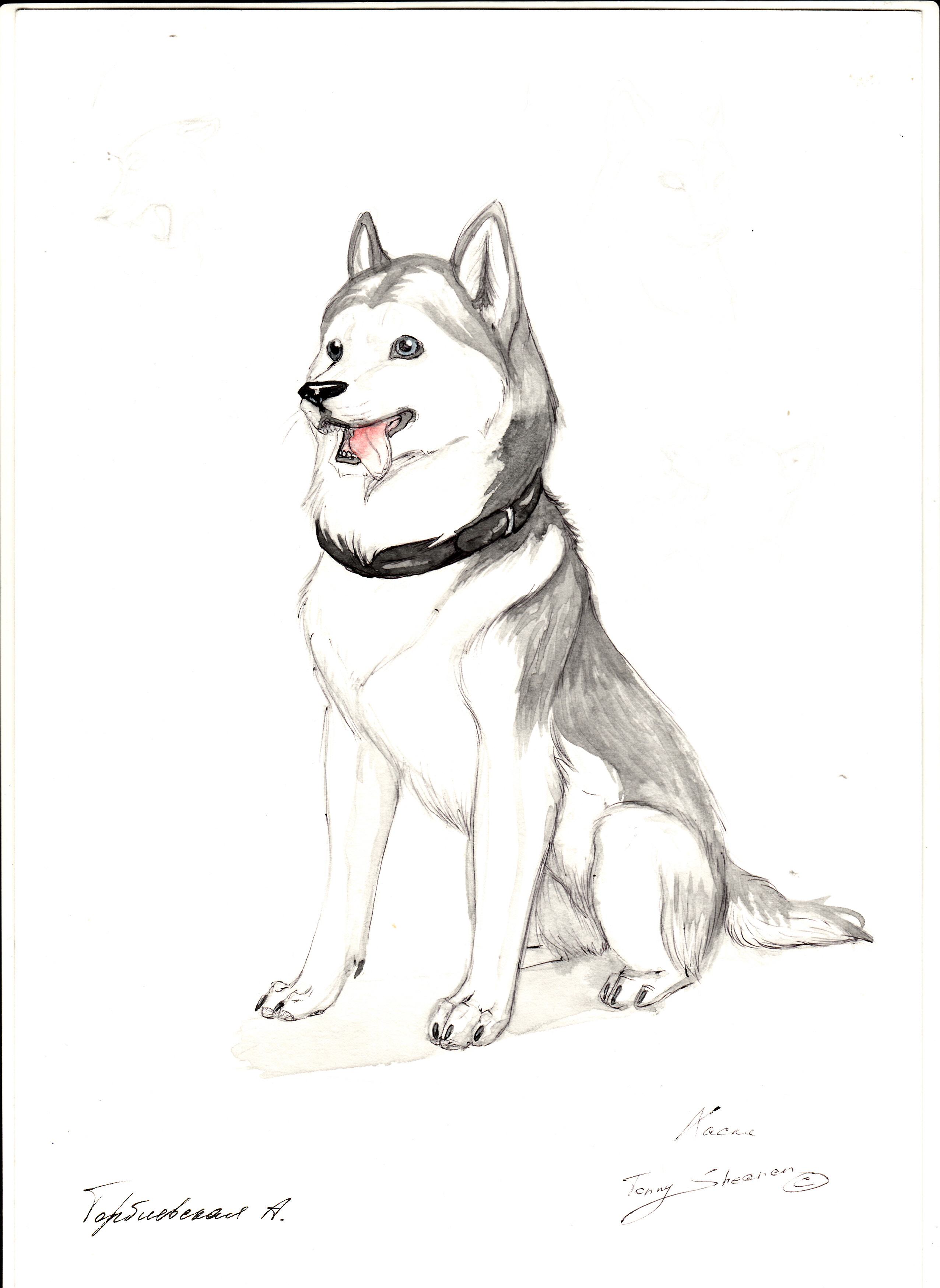 Собака рисунок карандашом в полный рост