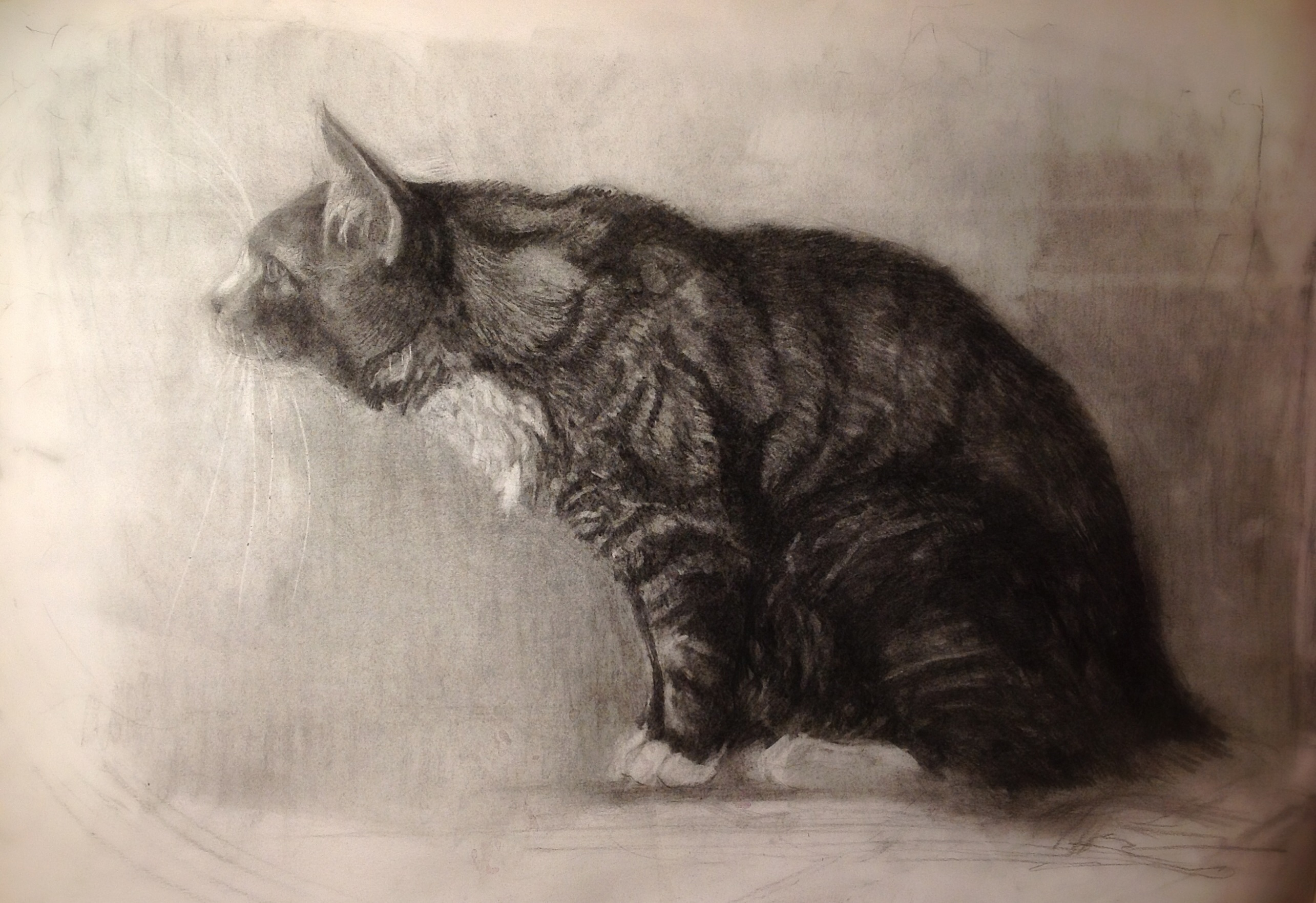 Анималистический Жанр рисунок углем кот