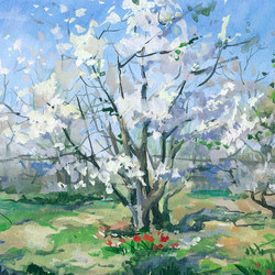"Весна. Цветение вишни" 2012г.